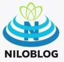 دلـــنـــوشـــتـــه های محــــیــــا